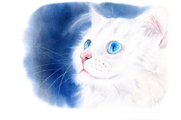 Download White Kitty Digital Prints PNG Files - Png Collection
