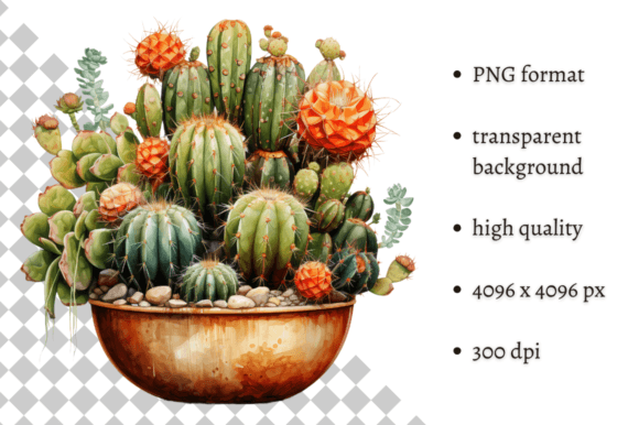 Download Potted Cactus PNG Illustration - Png Collection