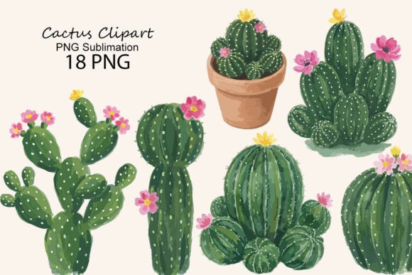 Download Cactus Clipart PNG Sublimation - Png Collection