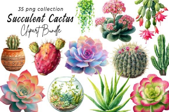 Download Succulent Clipart, Cactus Png - Png Collection