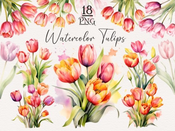 Download Watercolor Tulip PNG Bundle - Png Collection