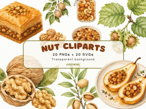 Download Nut Watercolor Cliparts, Botanical PNG - Png Collection