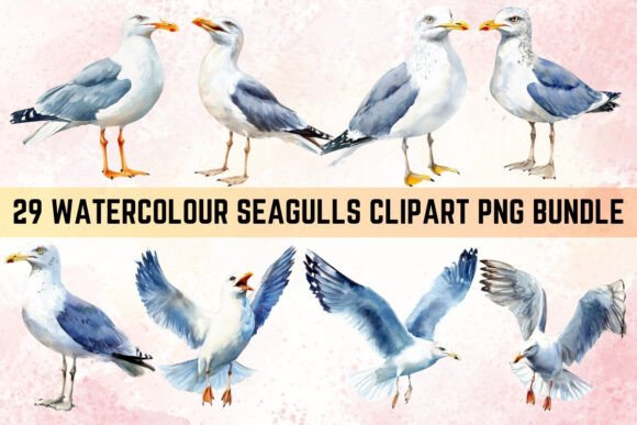 Download Watercolor Seagulls Clipart PNG Bundle - Png Collection
