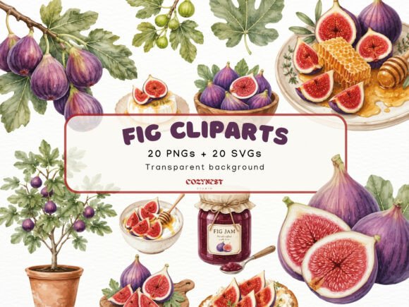Download Fig Watercolor Cliparts, Botanical PNG - Png Collection