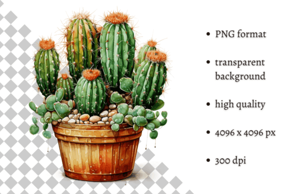 Download Potted Cactus PNG Illustration - Png Collection