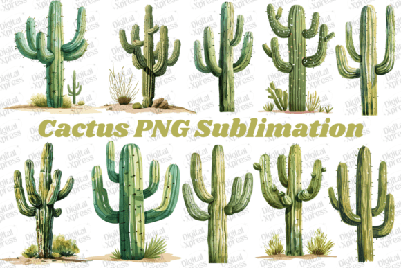 Download Cactus PNG Sublimation - Png Collection