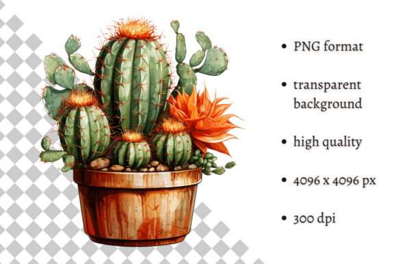 Download Potted Cactus PNG Illustration - Png Collection